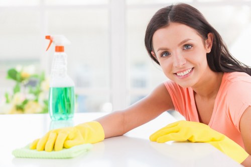 Domestic cleaning service for a Shoreditch apartment interior