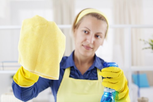 Deep oven cleaning service for a flat in Shoreditch