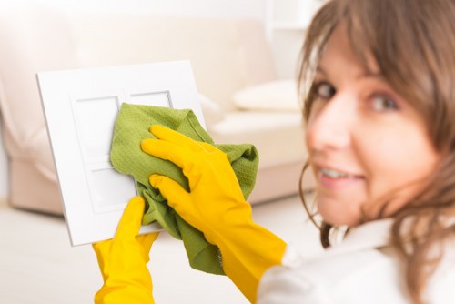 Professional cleaner treating a stained carpet in an East London home